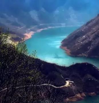 快刺水果